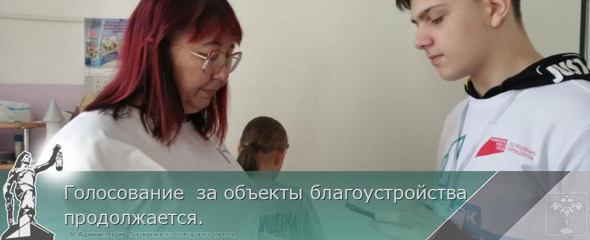 Голосование  за объекты благоустройства продолжается.